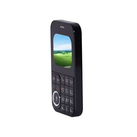 P16 Dual SIM Mini 2G Mobile Phone with Keypad