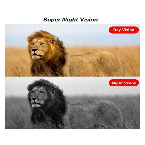 Andowl Q-YW301 Trail Camera