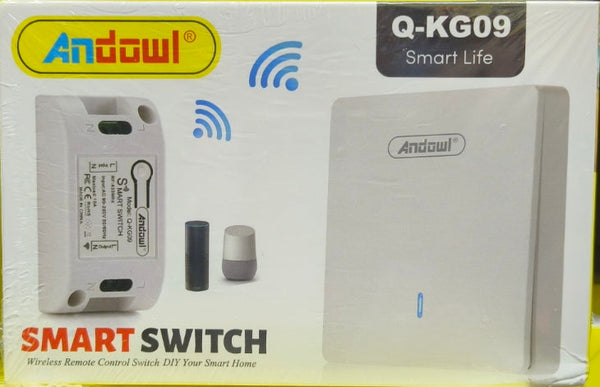 Andowl Q-KG09 Wireless 433mhz 1 Way AC 220v Wall Switch