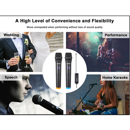 Andowl Q-MIC555 Wireless Dynamic Vocal Microphone